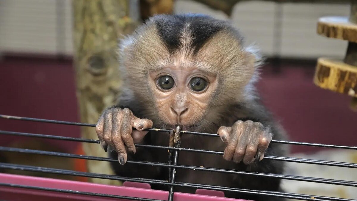    Фото: max.ru/id7813671209_gos