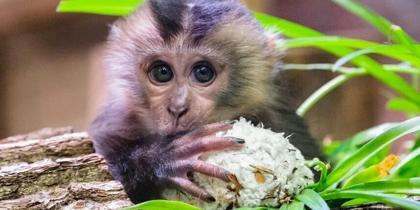    Алена Бобрович