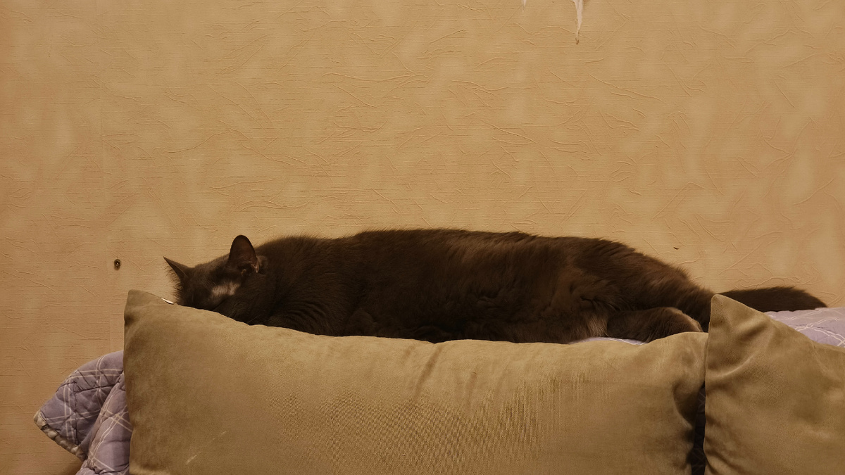 Немного мистера Саймона вам в ленту