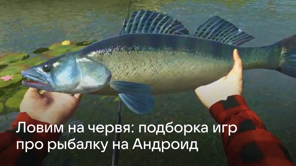    Подборка игр про рыбалку на Android: реалистичные симуляторы, офлайн-рыбалка, онлайн-соревнования и PvP-турниры — лучшие варианты для отдыха и азарта.