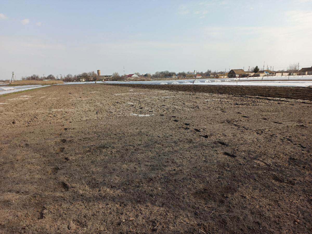 В течении зимы зола с печки уходит на огород