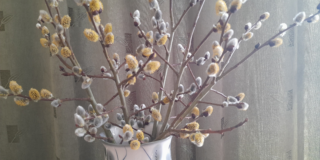 С Вербным Воскресеньем!