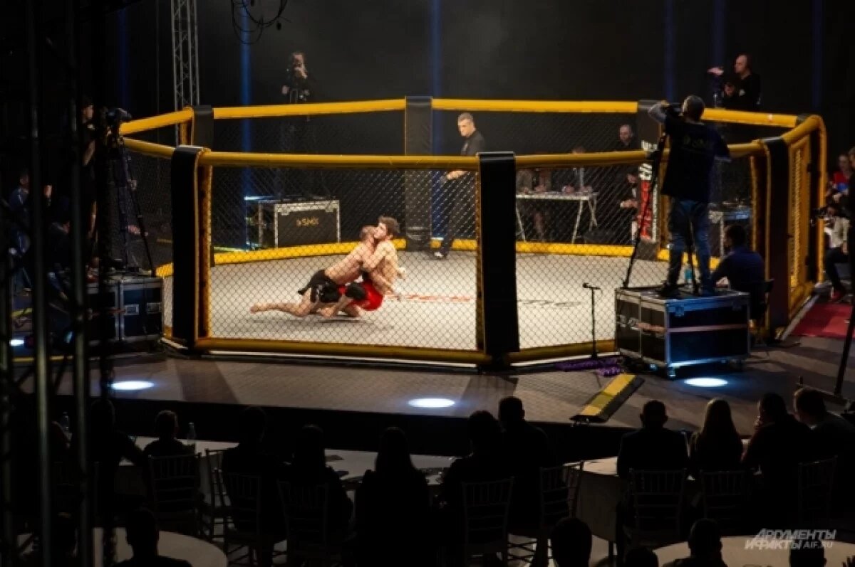    Осетинские бойцы завоевали пять медалей на первенстве СКФО по ММА