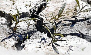 Изображение от wirestock на Freepik  📷
