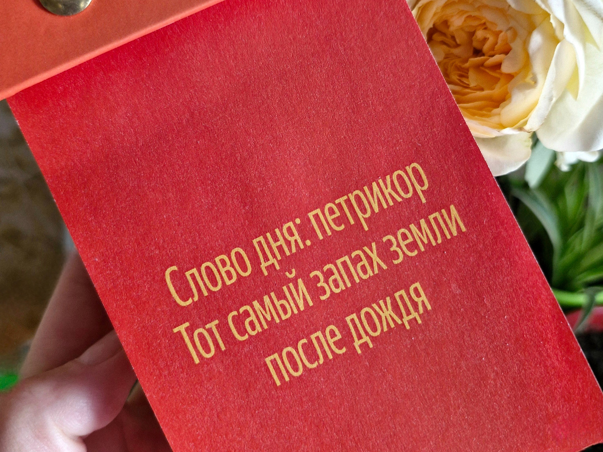 Сегодня прогноз обещает дождь. Лучший подарок для начала апреля