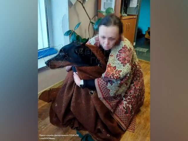    Фото: телеграм-канал "ЧСтные новости Москвы"