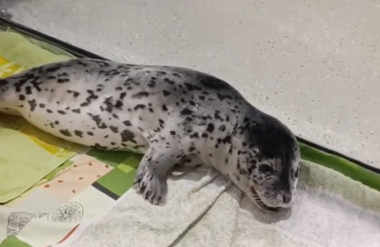    Источник фото: