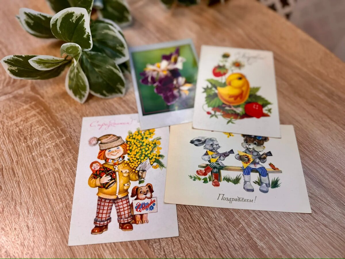 Подписанные в пансионате на Республиканской открытки.