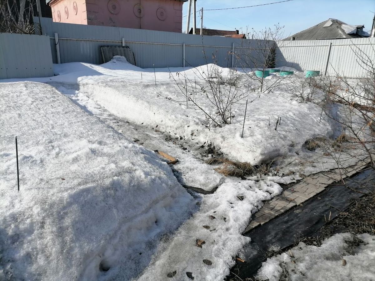 Весна в Сибири, Кемерово, фото автора