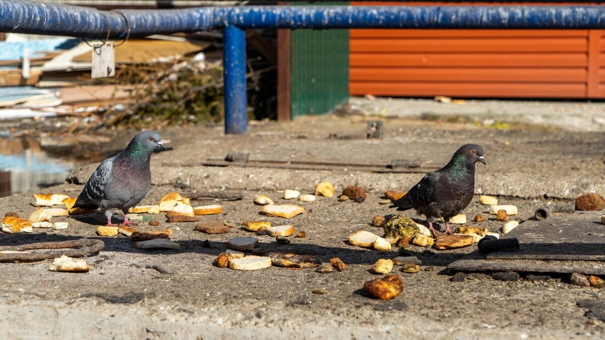    Синоптики Гидрометцентра Татарстана опубликовали прогноз погоды   inkazan.ru