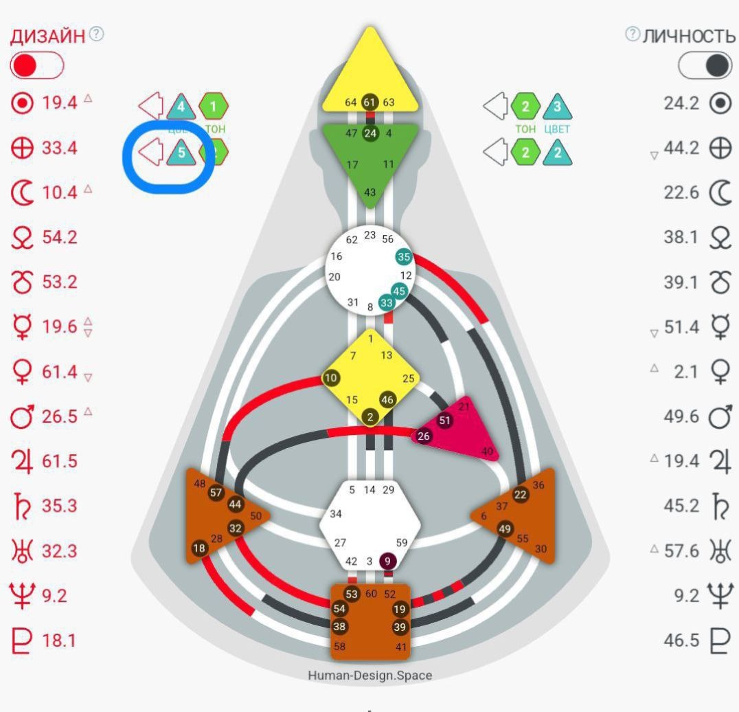 Скрин бодиграфа автора. Где в бодиграфе искать среду обитания выделила синим.