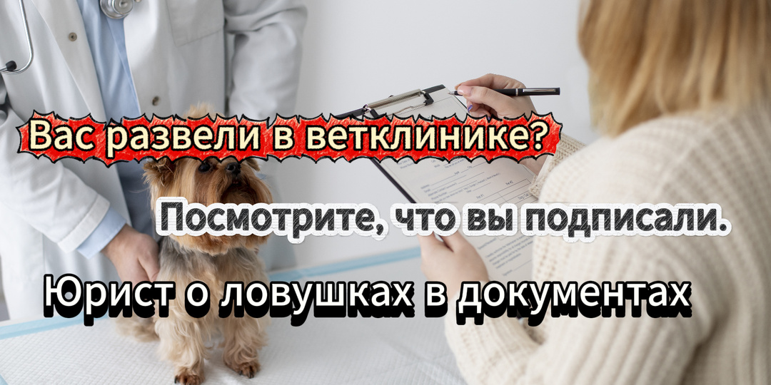 🔥 Ветклиника вас обманывает. Эти фразы в договоре — ловушка. Сейчас расскажу, какие фразы оставляют вас без денег и без защиты.