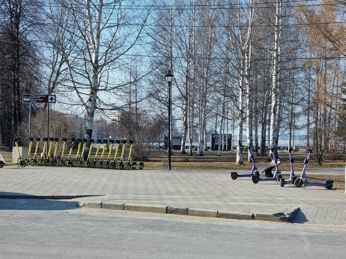    Ирина Яковлева