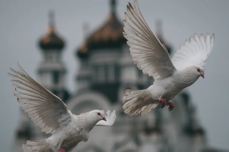    Создано ИИ/NEWS.ru