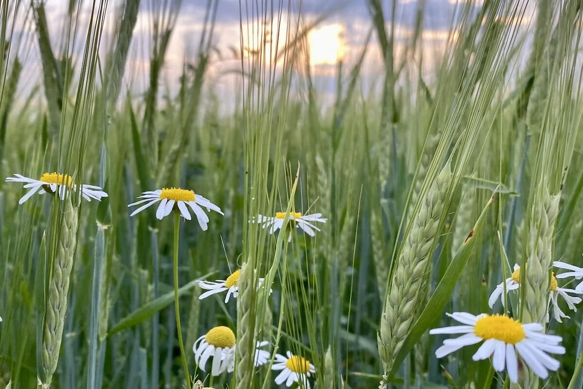 Фото: UfaTime.ru