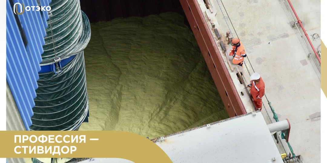 Кто такой стивидор и чем он занят в порту?