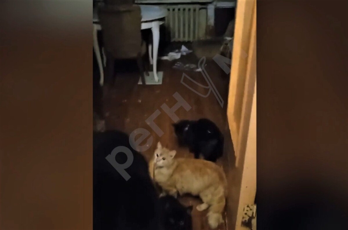     / Источник: Социальные сети