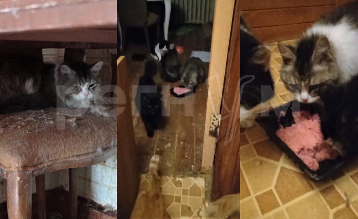     / Источник: Социальные сети