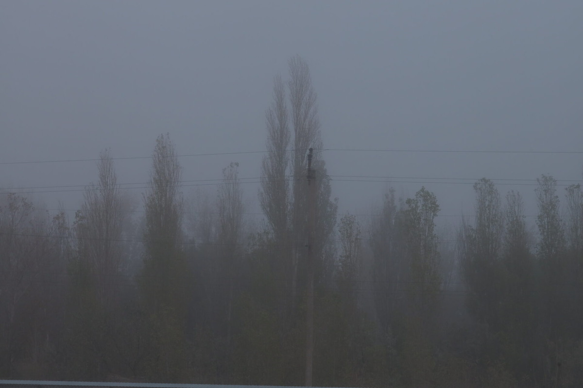    Фото: ТРК «Таврия»