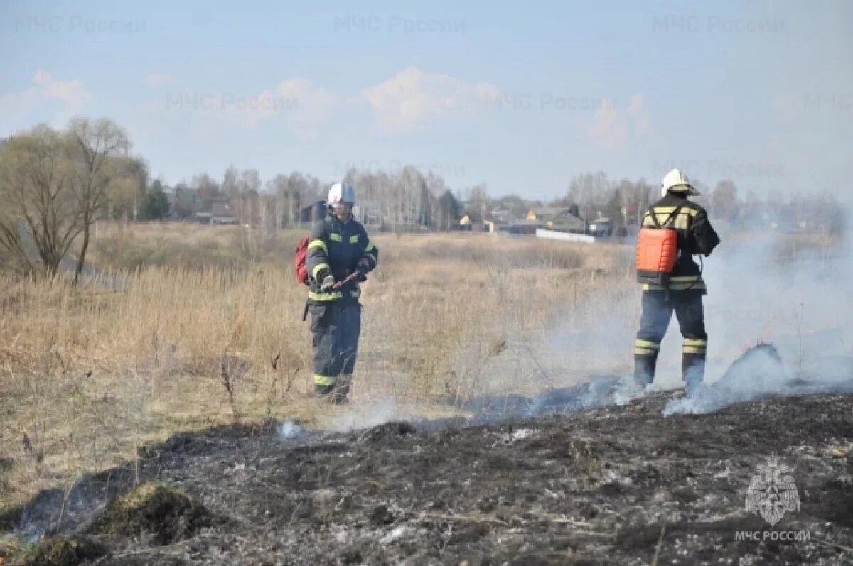    В Брянской области в выходные из 50 пожаров 24 пришлись на палы сухой травы