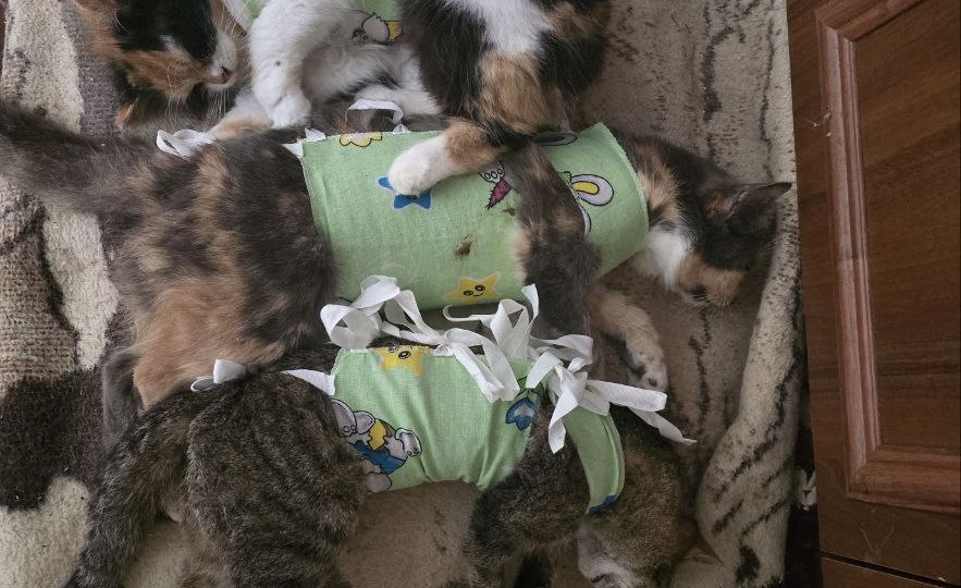 Добрый день