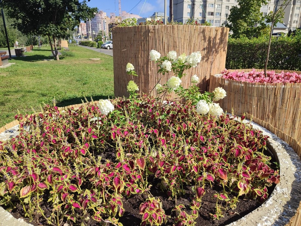    . Виктория СУХОВА