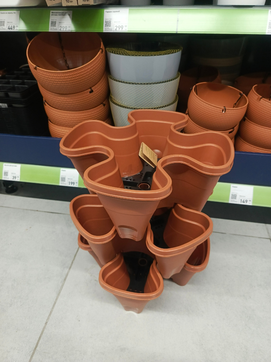 из трех кашпо составила мини-клумбу прямо в магазине