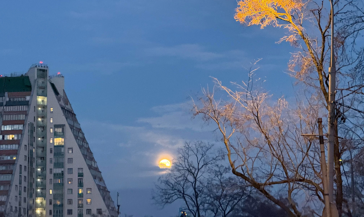 Луна 01.04.2026 г. Фото автора статьи