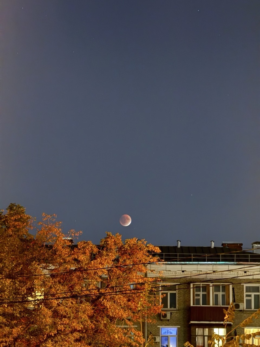 Лунное затмение 07.09.25. Фото автора статьи