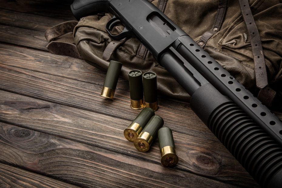    Shutterstock/FOTODOM