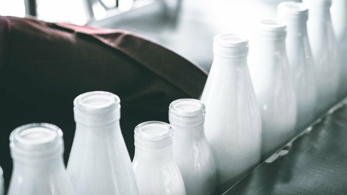    фото: Mehrshad Rajabi / unsplash.com