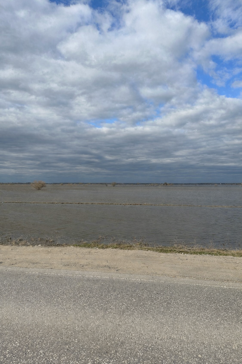 Разлив р.Ока, Рязанская обл., 2024г.