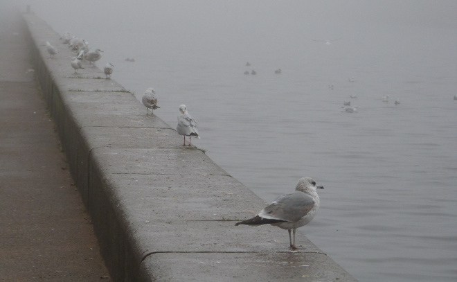    © Baltphoto/ Елена Яковлева