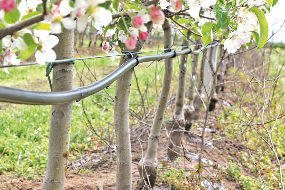 Фото из архива "Крымской газеты"