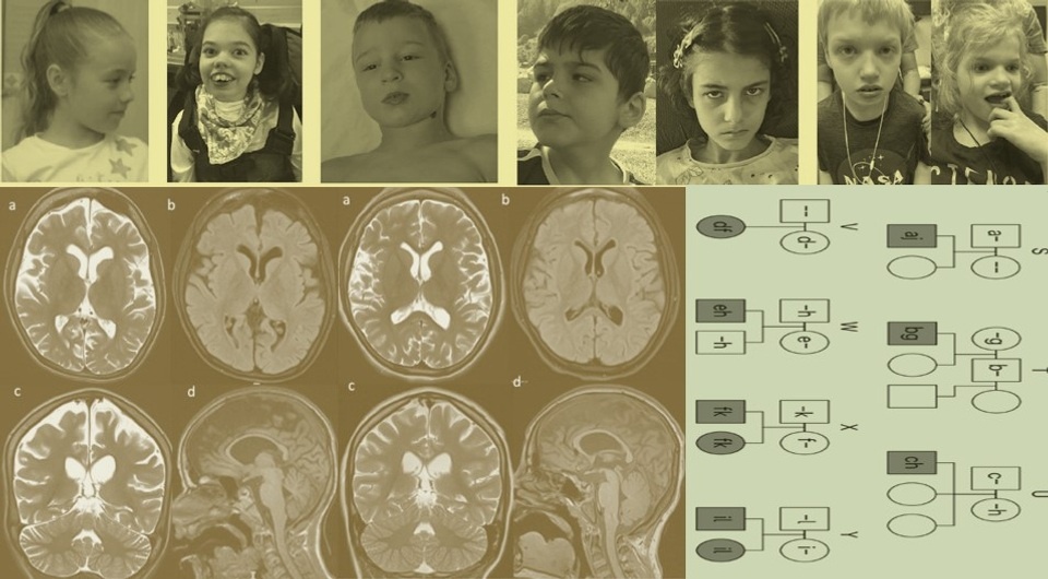   N + 1; Daniel Greene et al. / Nature Genetics, 2026