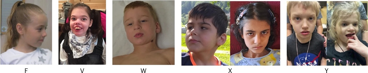   Daniel Greene et al. / Nature Genetics, 2026