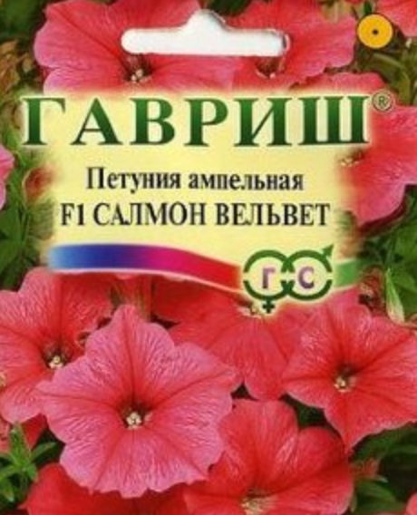 Если кто-нибудь из моих подписчиков пробовал сажать, пишите в комментариях