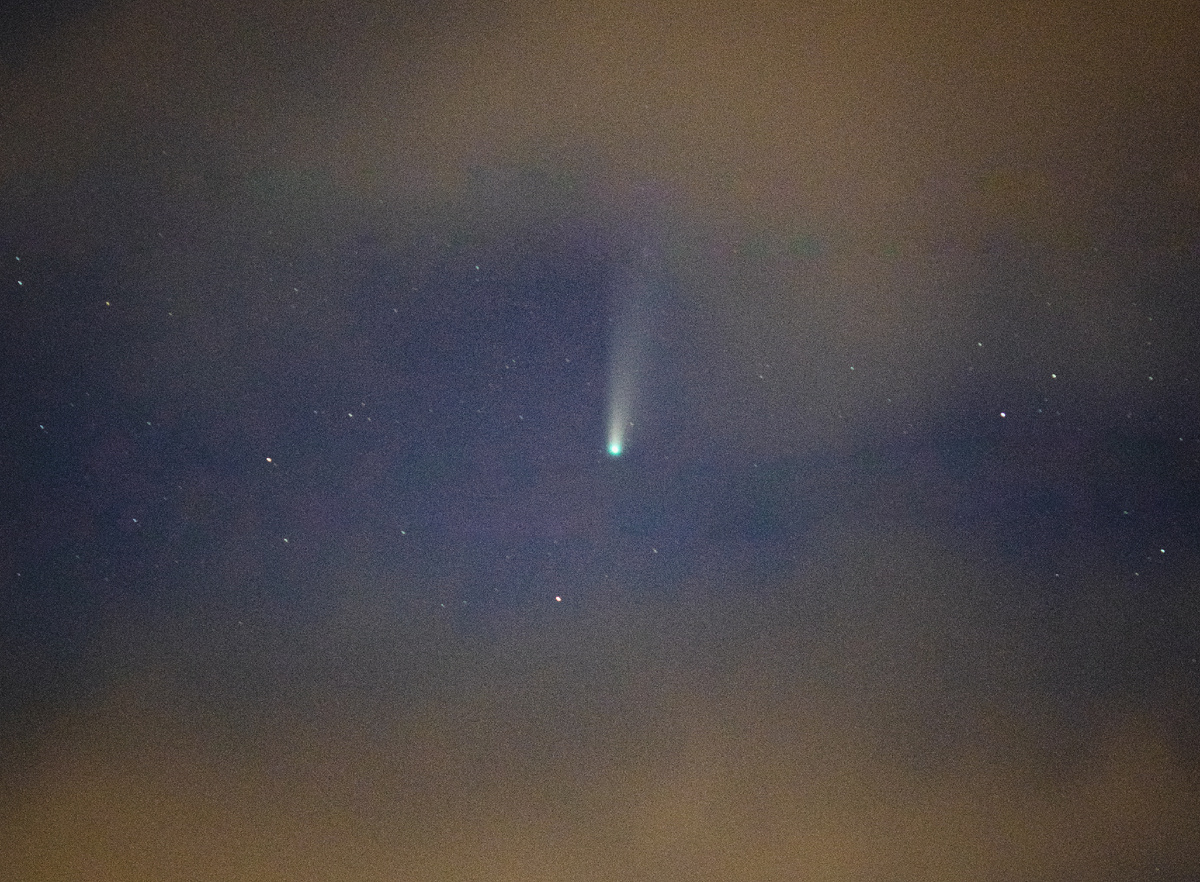 Фото: ru.freepik.com