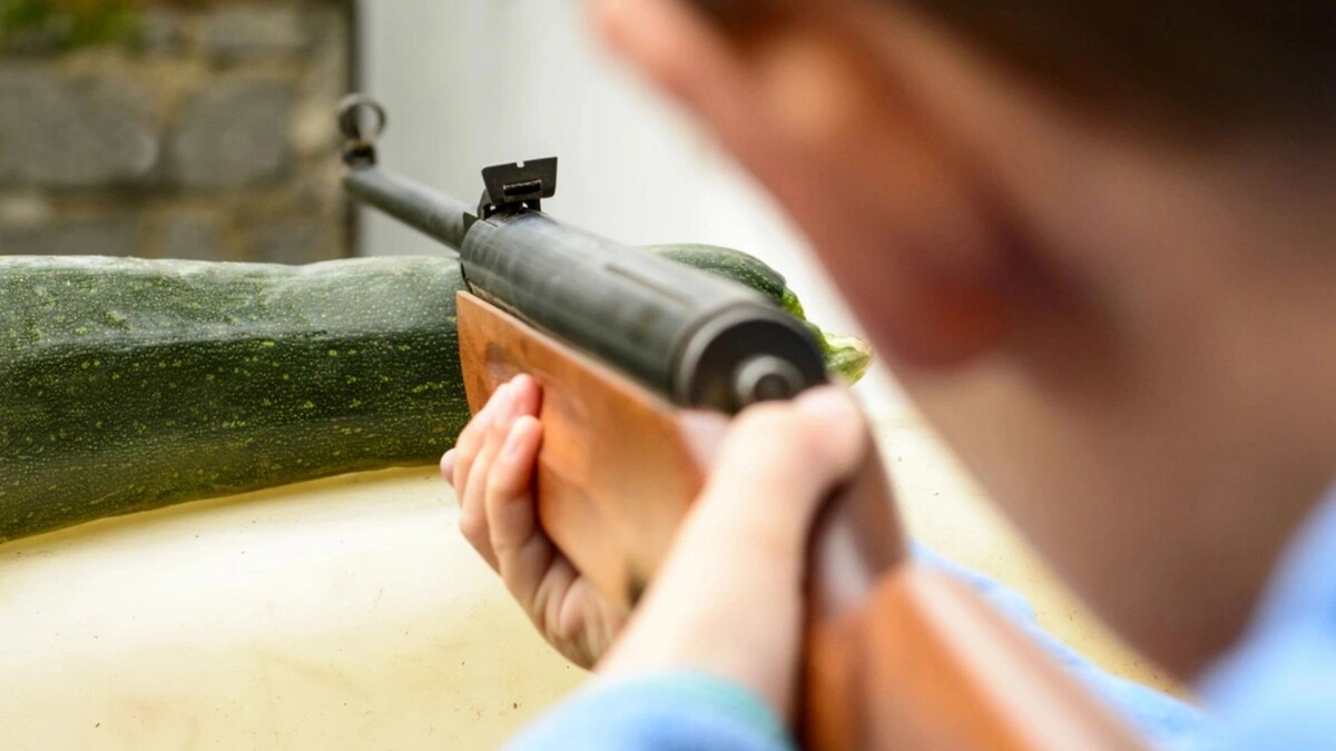    Фото: Karel Pesorna/Shutterstock/Fotodom