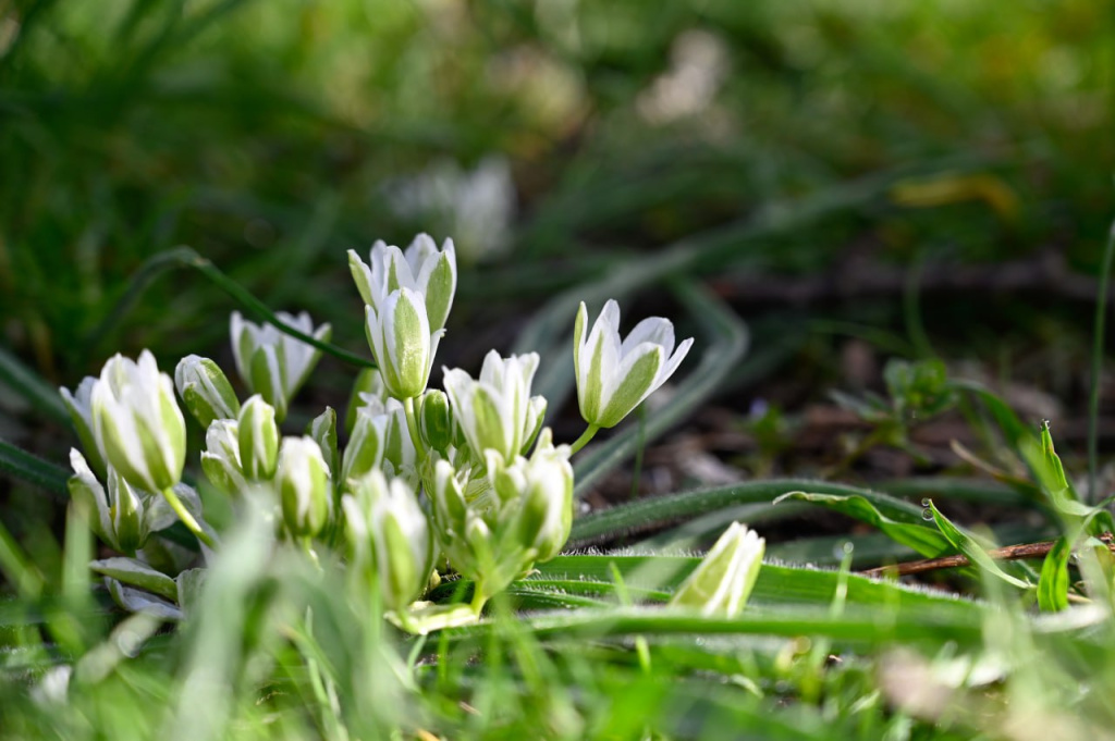 Фото: Гала Амарандо