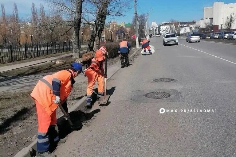    Фото: пресс-служба администрации Белгорода