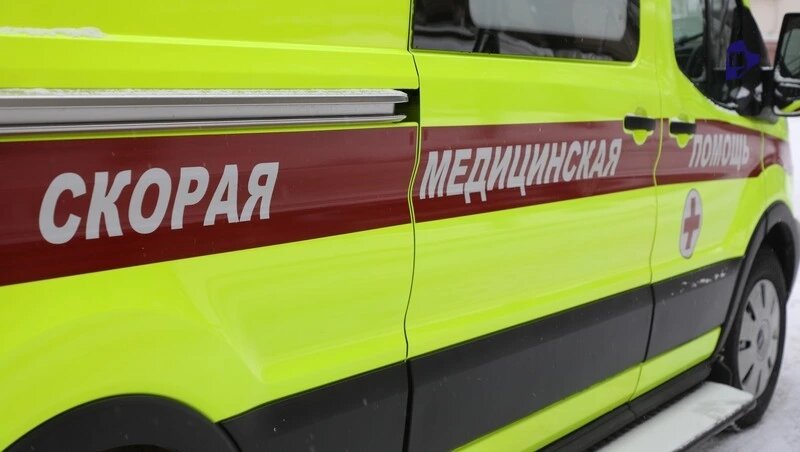      Фото: Дмитрий Ахмадуллин / / ИА «Победа26»