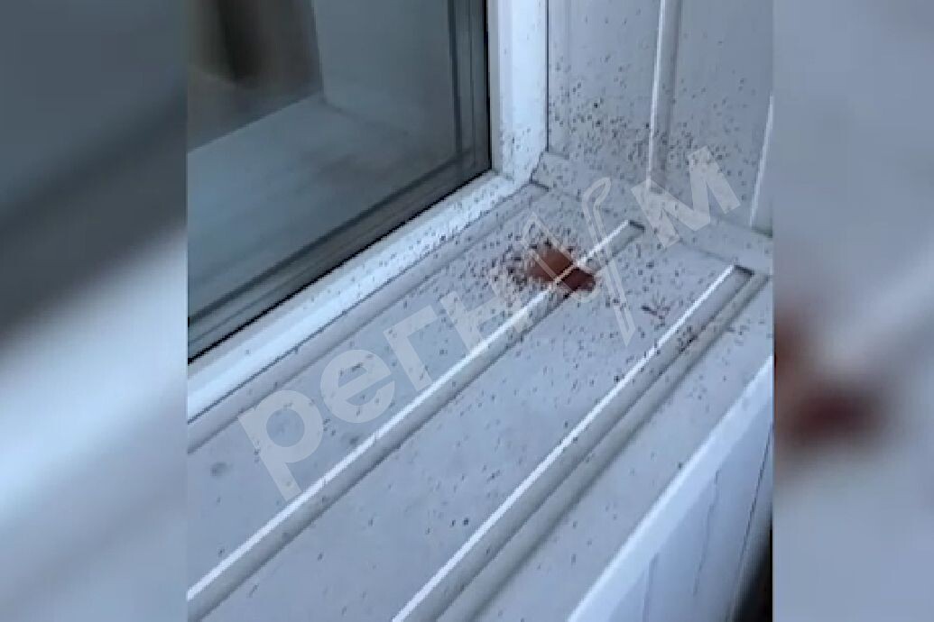     / Источник: Кадр из видео