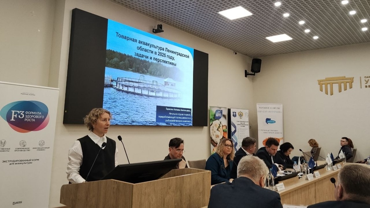 Фото: Полина Асланова