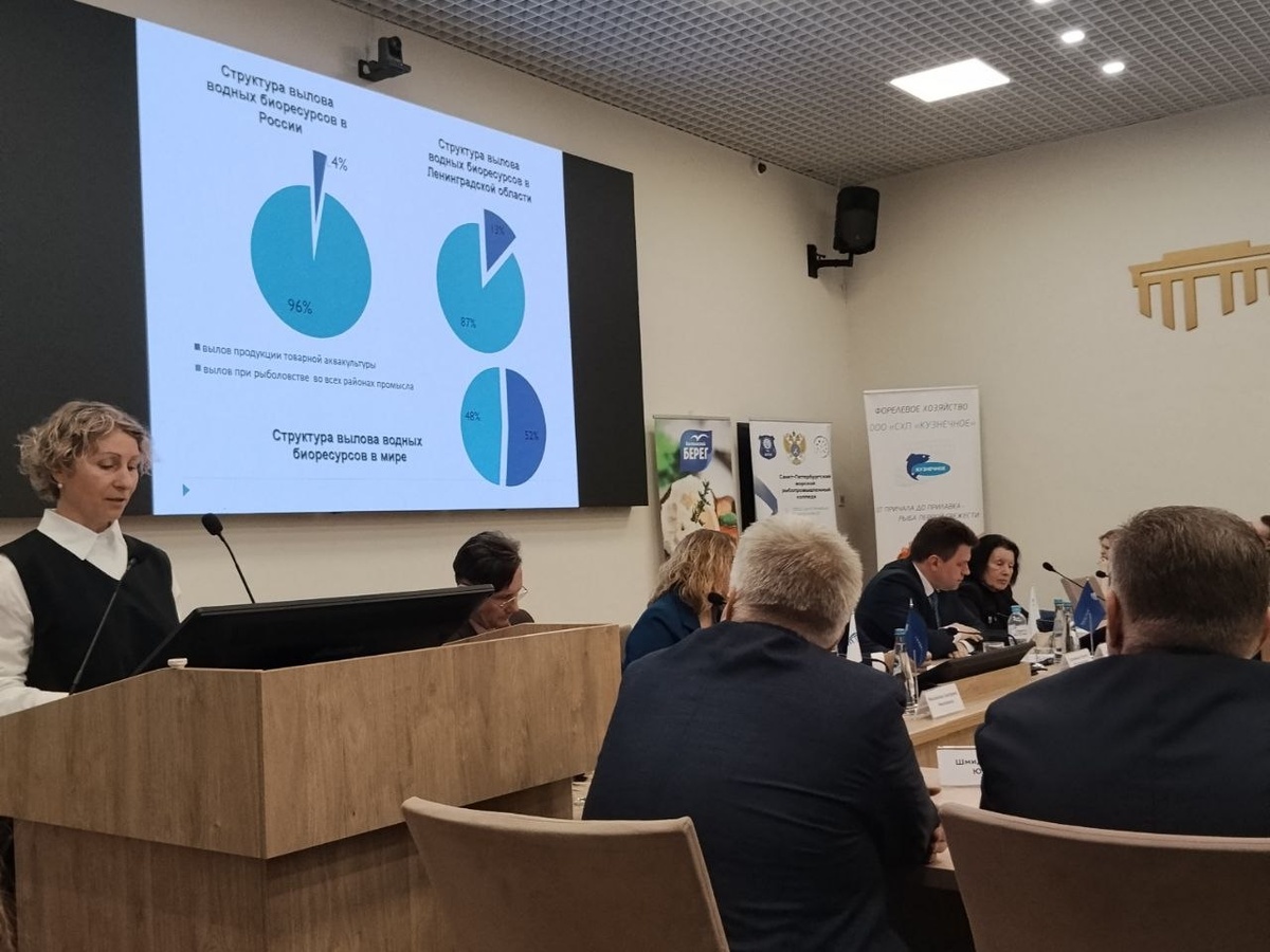 Фото: Полина Асланова