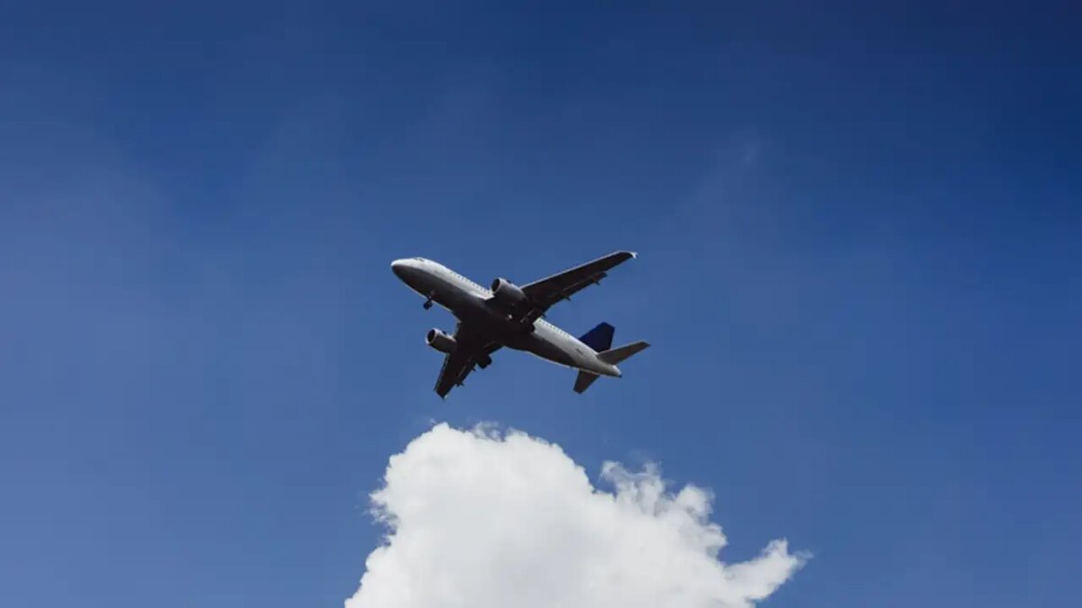    Самолёт. © freepik.com/Kireyonok_Yuliya