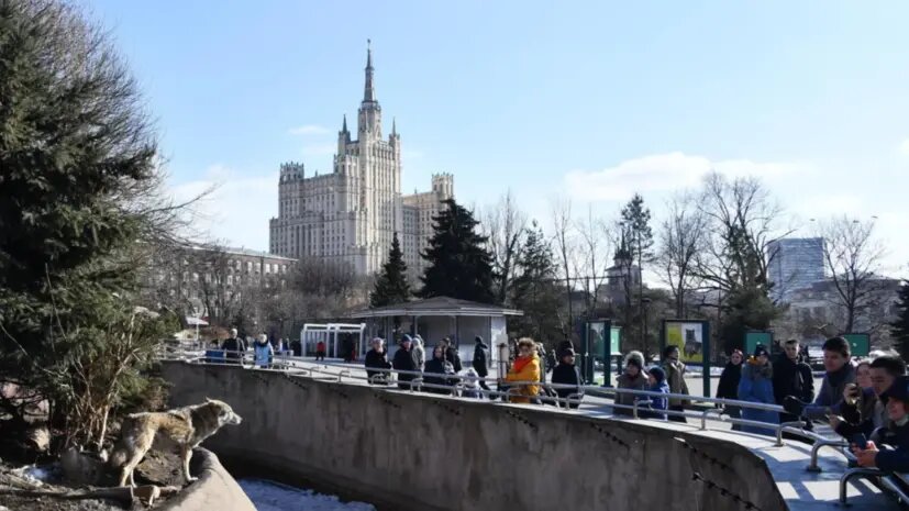    Источник: russian.rt.com Анна Абрамова