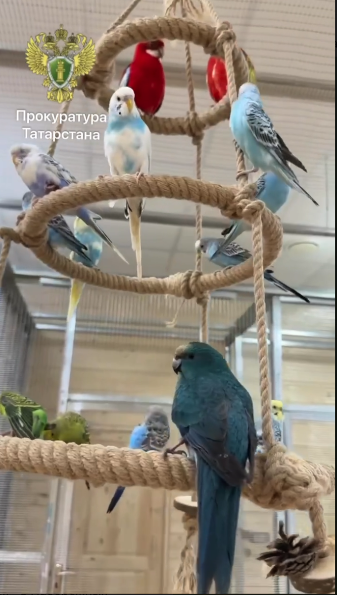 Фото: Прокуратура РТ