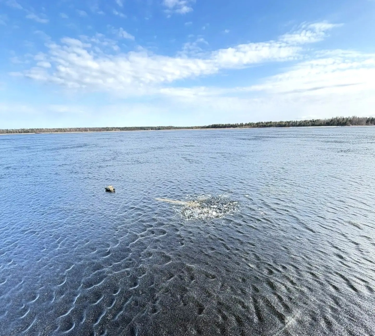    фото: © Госкомитет Карелии по безопасности населения