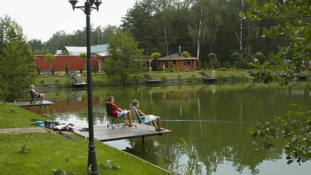 Яндекс картинки